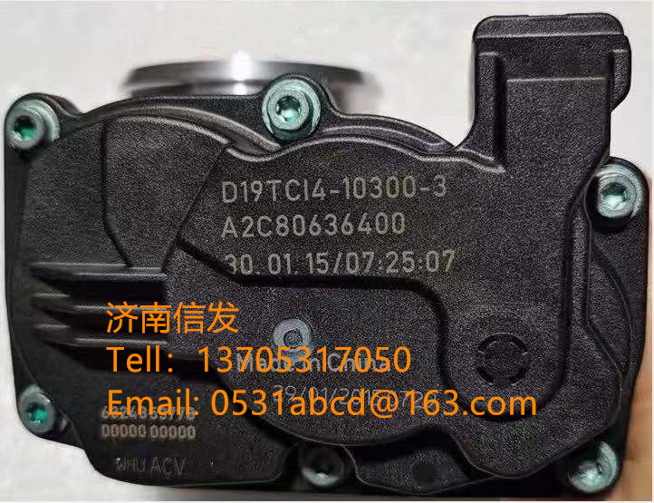 A2C80636400云内12V节流阀SCR济南信发