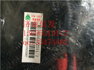 wg1034122251 SCR线束总成