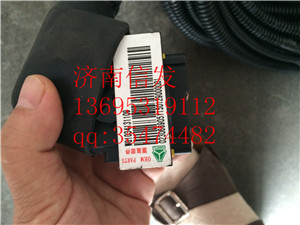 WG1034131109 SCR线束总成